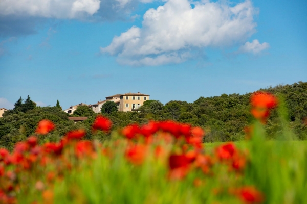 Provençal country house with character in the countryside - Image 2